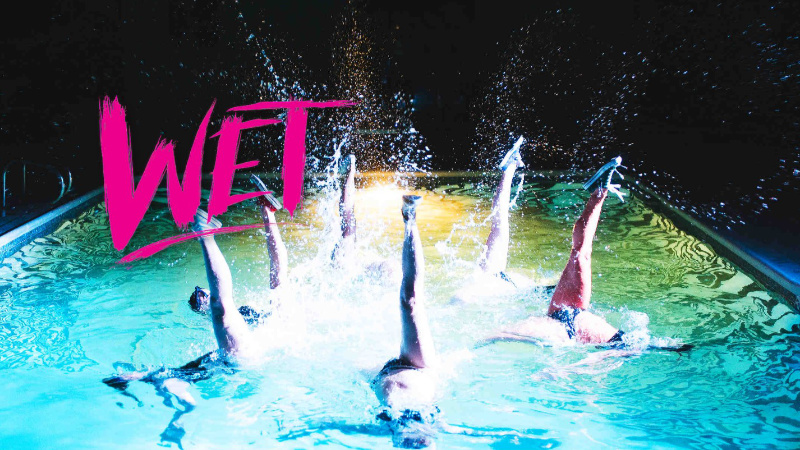 Fox IT Concepts - Website design and management | Wet Swim Show's Home page capture